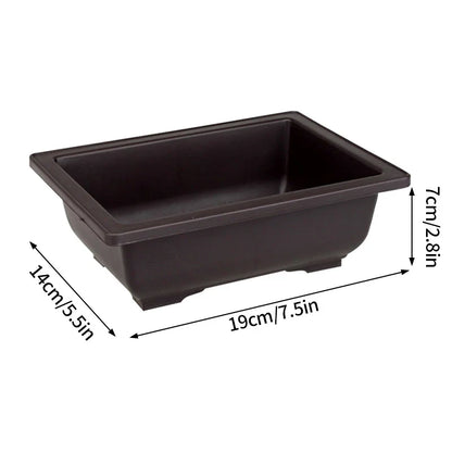 Dark brown rectangular plastic bonsai plant pot with rounded corners and shallow wide interior para plantas succulents