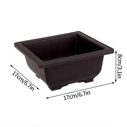 Black rectangular ceramic plant pot for succulents 17cm x 17cm x 8cm perfect para plantas and pot flowerpots