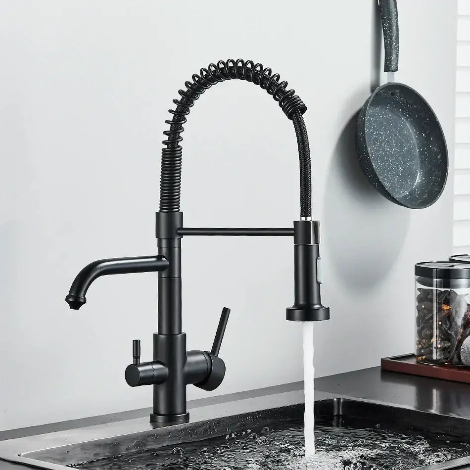 Black matte-finish brass dual spout water filter faucet with coiled flexible pull-down spray head for kitchen use