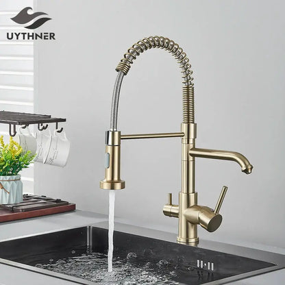 Brass dual spout water filter faucet with flexible gooseneck and pull down spray head for kitchen use