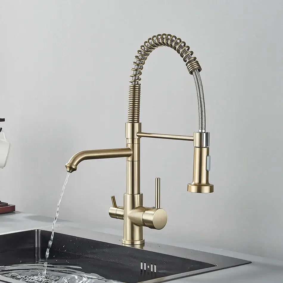Brass dual spout water filter faucet with flexible coiled hose and pull-down spray head for kitchen use