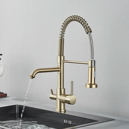 Brass dual spout water filter faucet with flexible coiled hose and pull-down spray head for kitchen use