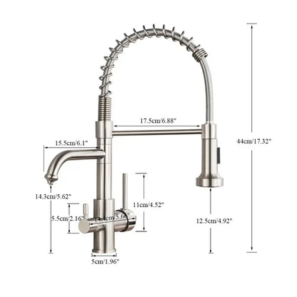Brass dual spout water filter faucet with stainless steel flexible coiled gooseneck and pull down spray head