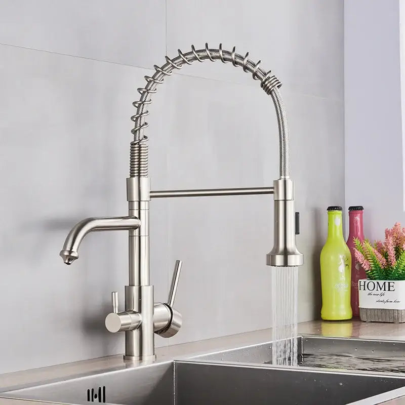Stainless steel brass dual spout water filter faucet with flexible coiled spout and dual handles for kitchen use
