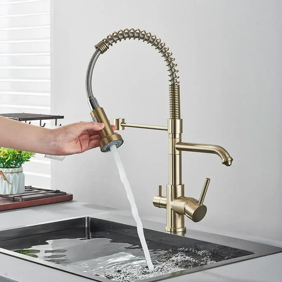 Brass dual spout water filter faucet with flexible coiled hose and pull-down spray head for kitchen use