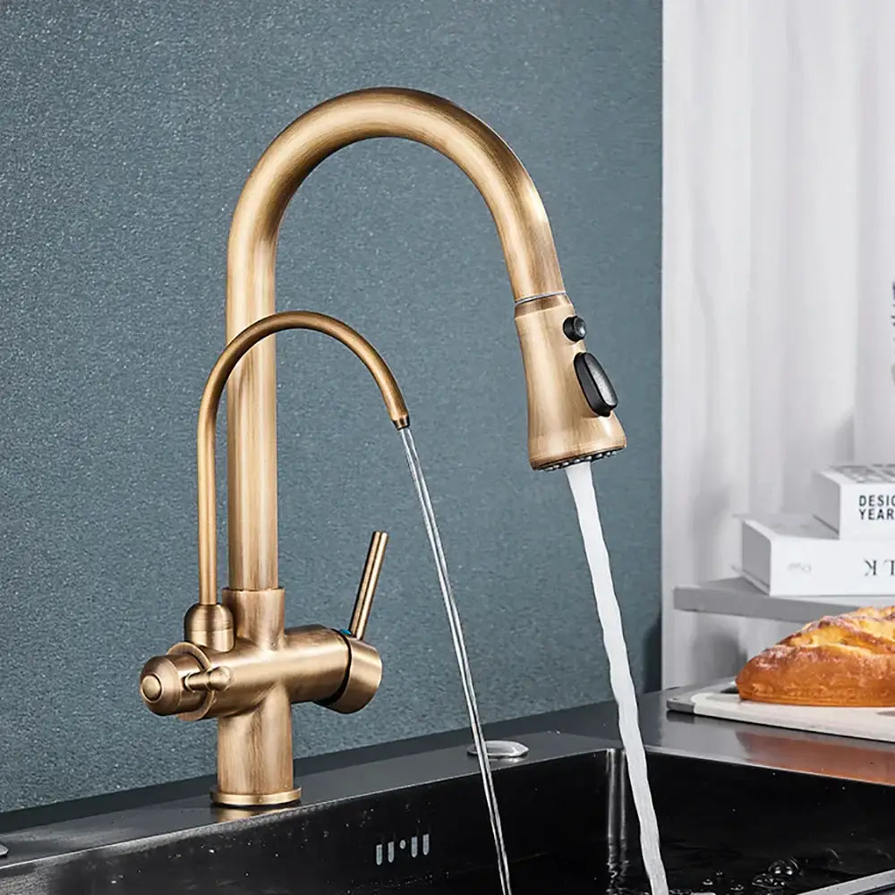 Antique brass finish brass filter kitchen faucet with curved rotatable spout and pull-down sprayer head