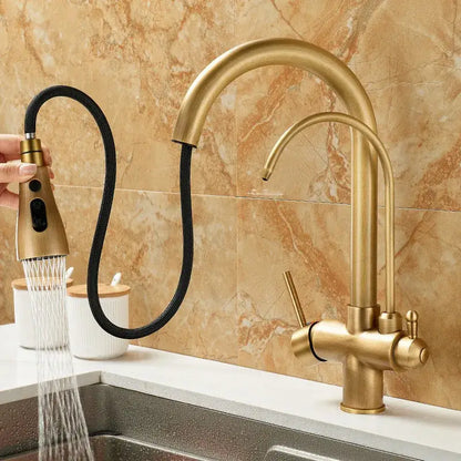 Brass kitchen faucet by decorbites with pull down black hose and water filter tap in brass finish for modern kitchens