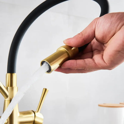 Brushed gold kitchen faucet with black flexible hose dual handles and filter by decorbites in sleek modern design