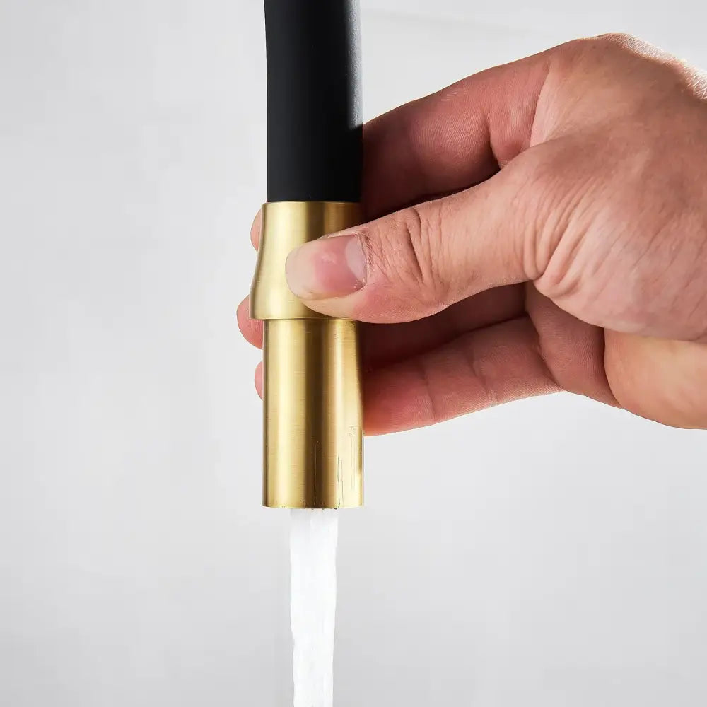 Brushed gold kitchen faucet with dual handles and filter in black and gold featuring a sleek modern design by decorbites