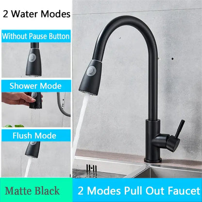 Matte black pull-out kitchen faucet with dual water modes and curved spout complementing decorbites brushed nickel style