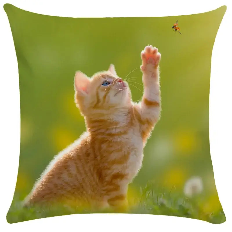 Square throw pillow from decorbites bubble black cats collection featuring an orange tabby kitten print for living room decor