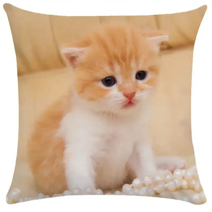 Square cushion cover with cute orange and white kitten print perfect for decorbites bubble black cats living room decor