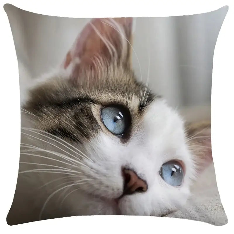 A square pillow cover featuring a high-resolution print of a cat with blue eyes for decorbites bubble black cats decor