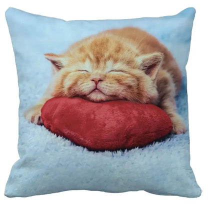 Light blue decorbites bubble black cats square cushion cover with an orange kitten sleeping on a red heart print