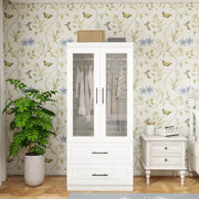 Wooden Glass Door Armoire