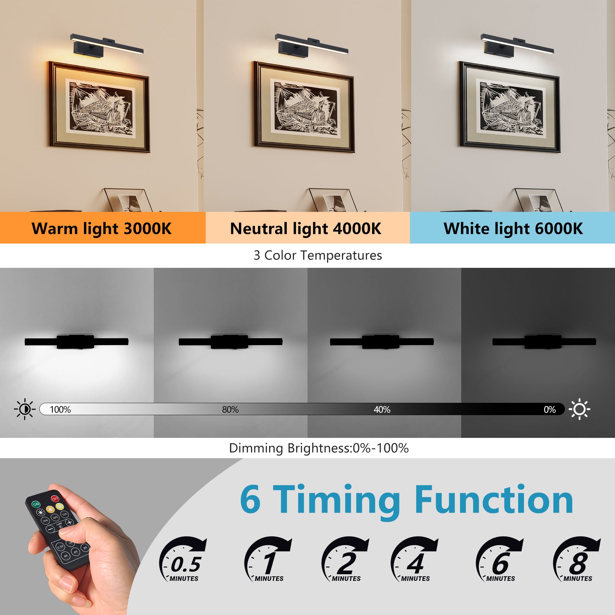 Black Dimmable LED Vanity Light