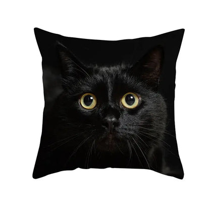 Black cat pillowcases by decorbites featuring a black throw pillow with a close-up of a black cat with yellow eyes