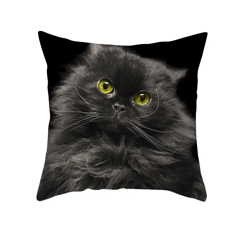 Black throw pillow with high-resolution print of fluffy black cat with yellow eyes for decorbites black cat pillowcases