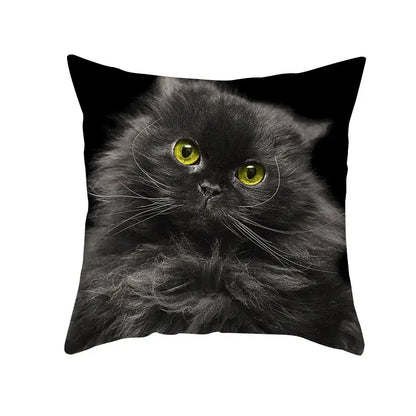 Black throw pillow with high-resolution print of fluffy black cat with yellow eyes for decorbites black cat pillowcases