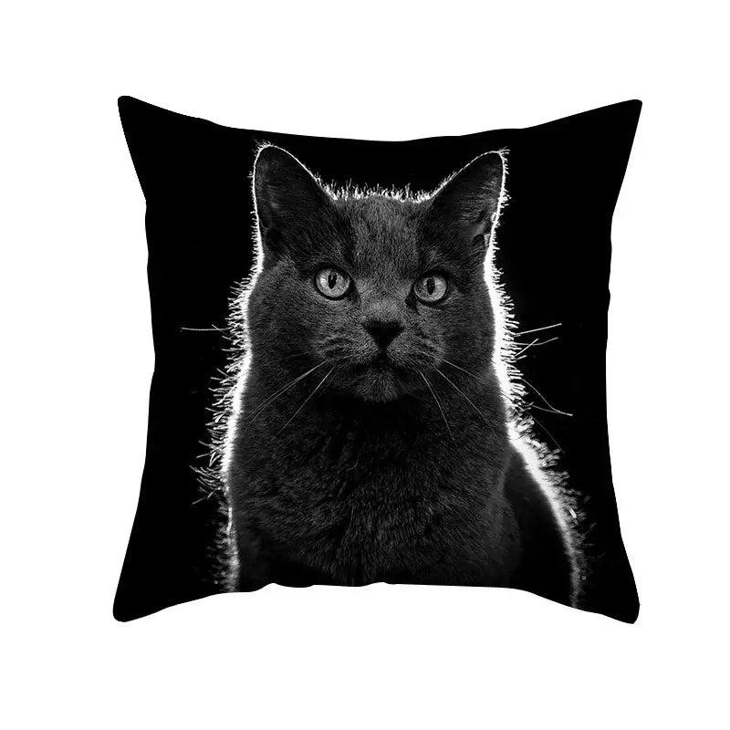 Black cat pillowcases featuring a decorbites black cat high-contrast photographic print on a black throw pillow
