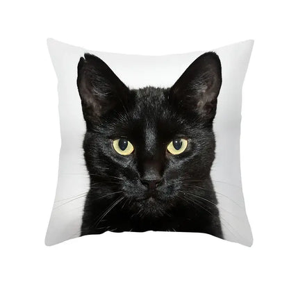 White throw pillow with striking close-up print of black cat with vivid yellow eyes for decorbites black cat pillowcases