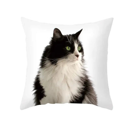 White throw pillow with a printed image of a fluffy black cat featuring striking green eyes black cat pillowcases decorbites black cat