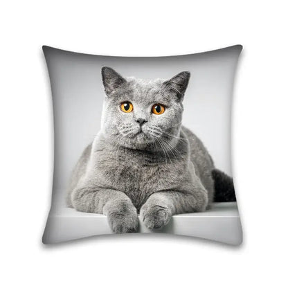 Gray british shorthair cat with golden eyes printed on a cute cat anime pillow case for bedroom and living room use