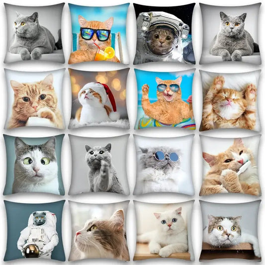 A collection of plush square cute cat anime pillow cases featuring vibrant colors for bedroom and living room use