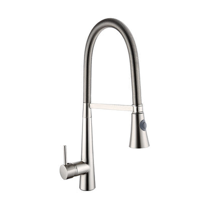 Fashion New Copper Kitchen Spring Faucet