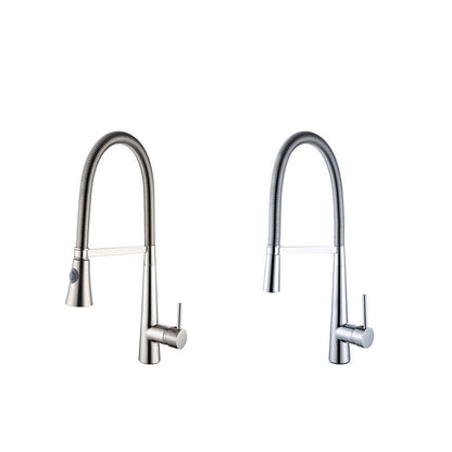 Fashion New Copper Kitchen Spring Faucet