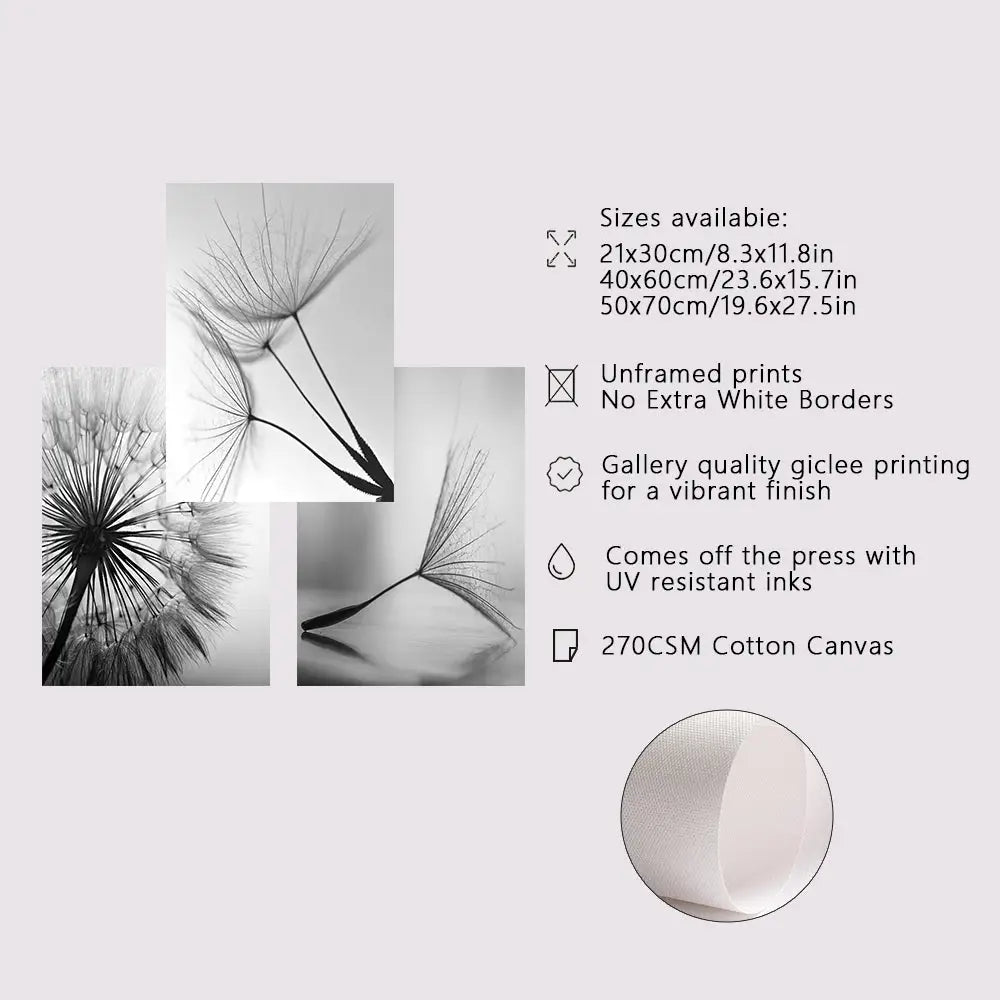 Decorbites™ black and white dandelion canvas wall art featuring detailed dandelion flower pictures on cotton canvas