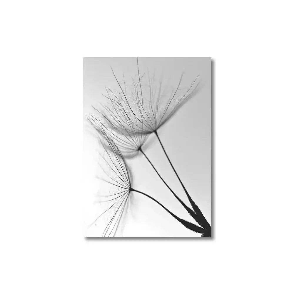 DecorBites™ black and white dandelion canvas wall art featuring dandelion flower pictures on white cotton canvas