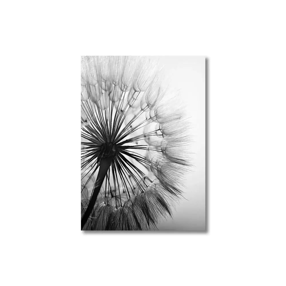 Black and white dandelion canvas wall art featuring a photographic print of a dandelion seed head by DecorBites™