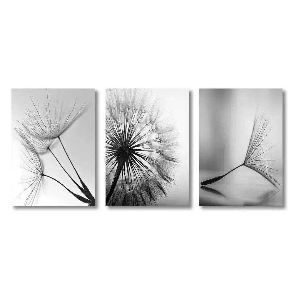 Set of three black and white dandelion flower pictures on white dandelion canvas wall art by DecorBites™