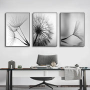 DecorBites black and white dandelion canvas wall art featuring three framed dandelion flower pictures in monochrome