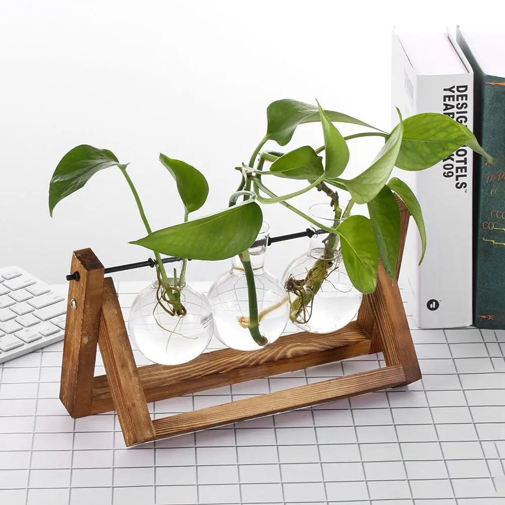 Wooden triangular terrarium stand holding three clear glass round vases with green leafy plants for tabletop decoration