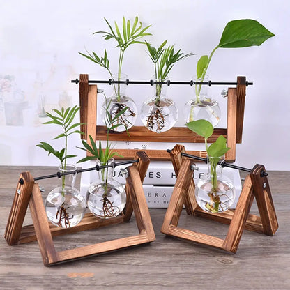 Wooden triangular stand holding clear glass spherical vases with green plants for hydroponic tabletop decoration