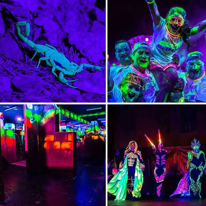 Glowing neon scorpion figurine illuminated by decorbites 100w led uv blacklight creating blacklight stage effect