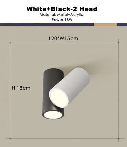 Modern white and black dual-head dimmable ceiling spot light with sleek metal and acrylic design for living room use