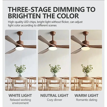 Modern dark bronze ceiling fan with three blades, integrated led light with white neutral warm settings and remote control