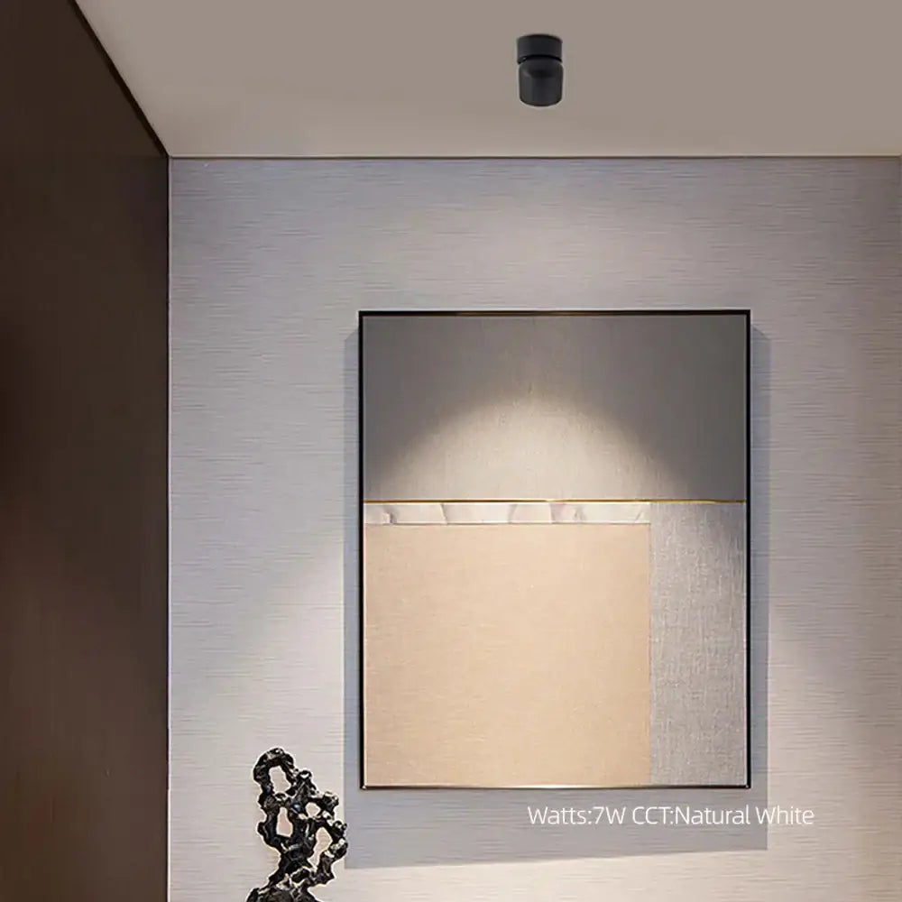 Decorbites 9w cob led ceiling spotlight with 360° rotation illuminating a modern minimalist abstract painting