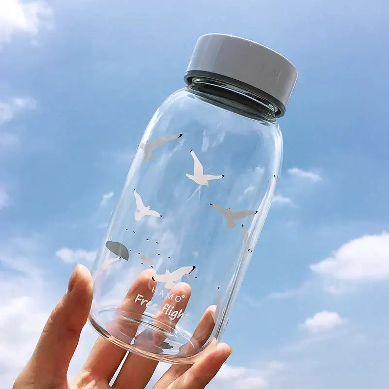 Decorbites™ animal glass water bottle with white seagull decals gray lid glass water for outdoor activities