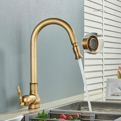 Brass-finished antique brass kitchen faucet with curved spout and black swivel pull out lever handle by DecorBites