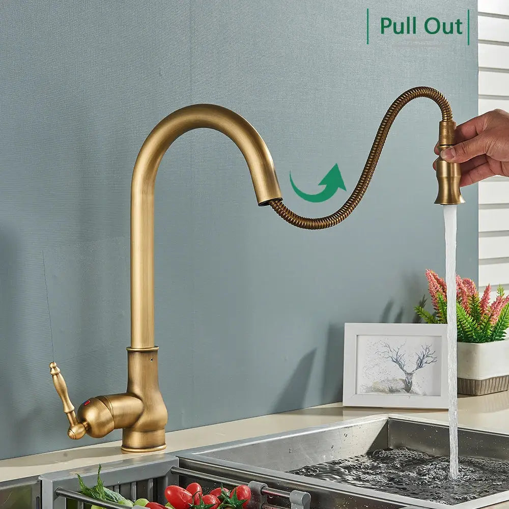DecorBites™ antique brass kitchen faucet with brass finish, pull-out flexible hose, and vintage-style handle for sink use