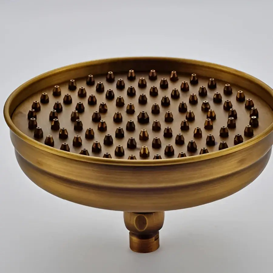 Brass-colored round showerhead with textured surface and multiple nozzles from decorbites antique brass shower set