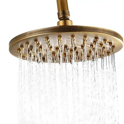 Brass-finished round showerhead with multiple water jets from decorbites antique brass shower set with diverter and handshower