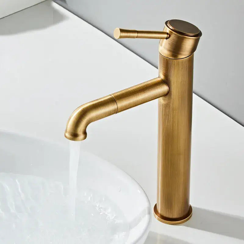 Decorbites™ antique bronze basin faucet with sleek brushed gold finish single-handle deck mounted tap