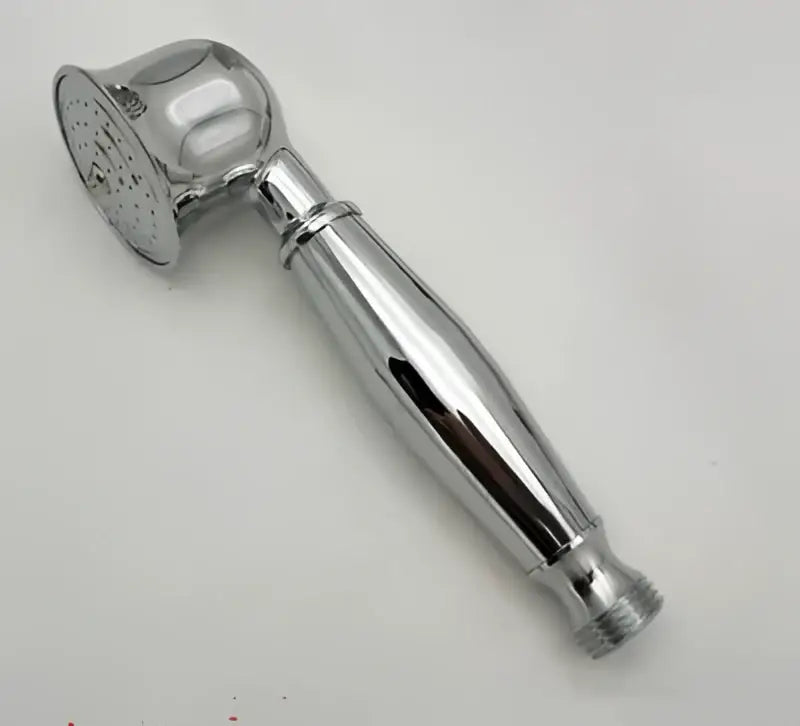 DecorBites™ chrome handheld shower head with sleek handle and perforated spray face in antique shower head holder stand