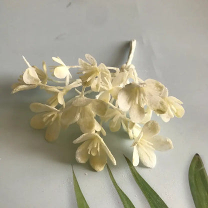 A delicate cluster of off-white artificial plants with slender stems and layered petals from decorbites artificial plants collection