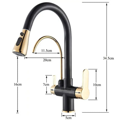 Decorbites black gold filter kitchen faucet with dual spout and handles featuring a black and gold two-tone pull-down spray head
